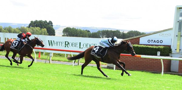 Palmetto strides to Dunedin Guineas victory
