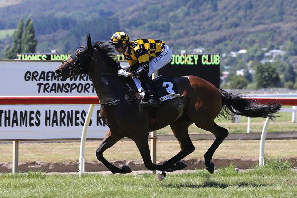 Good footing key to Derby hope Pinarello’s chances