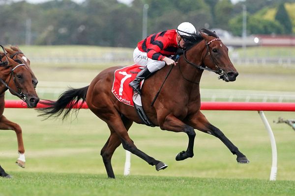 Kiwis flying midweek in Australia