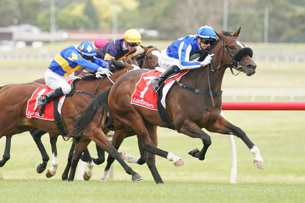 Dame sparkles in Sandown debut