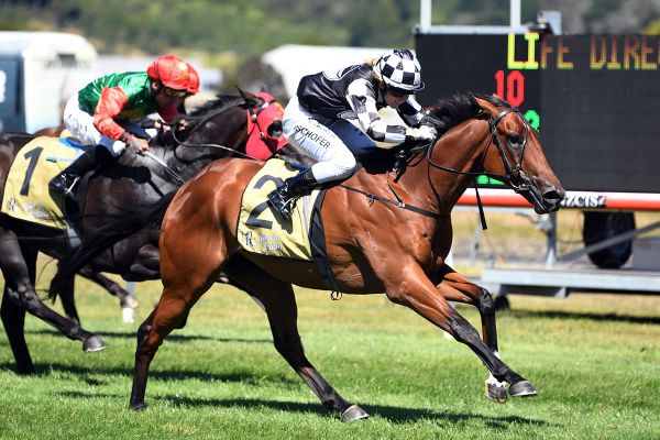 Trentham mile test for Shamus