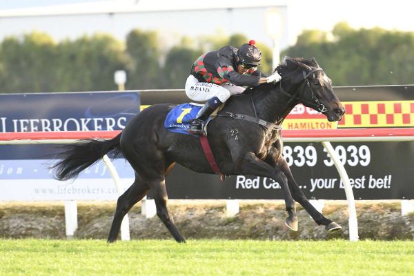 Short Fuse a must have for Muollo