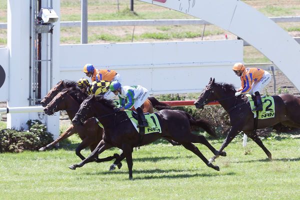 Sword Of State peaking to ascend Ellerslie throne