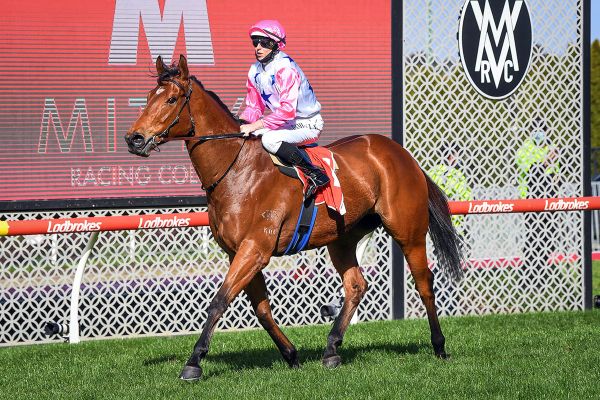 The Inferno campaign remains on track