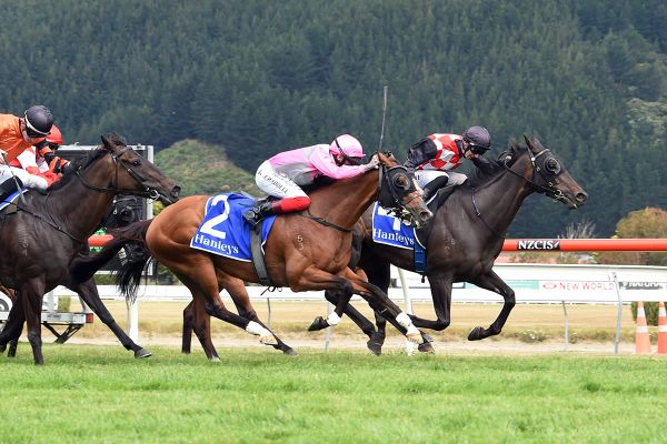 More ground sought for The Mitigator