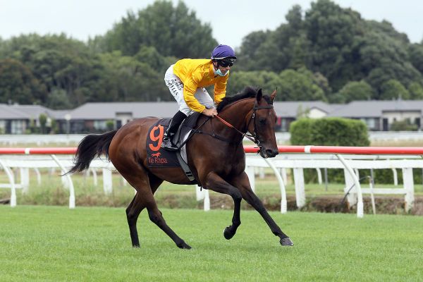 Local trainers vying for stakes success