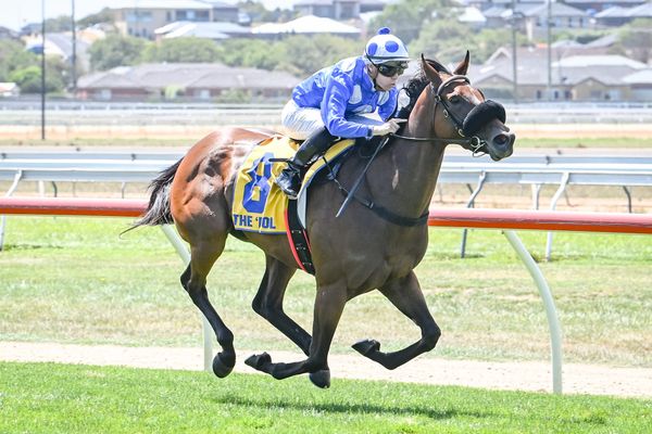 Arataki a dominant winner for Wrote