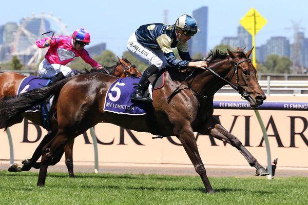 Strong Flemington win for unbeaten Yonce