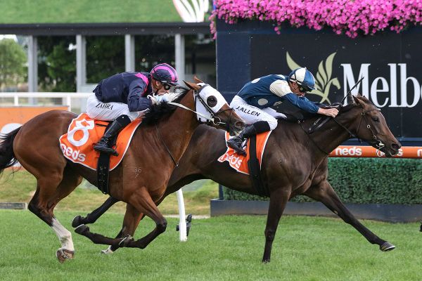 Yonce vying for four-peat