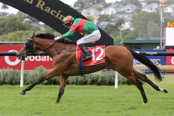 Cup doubt for Asterix