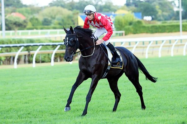 Achieve looking to raise the bar in Oaks
