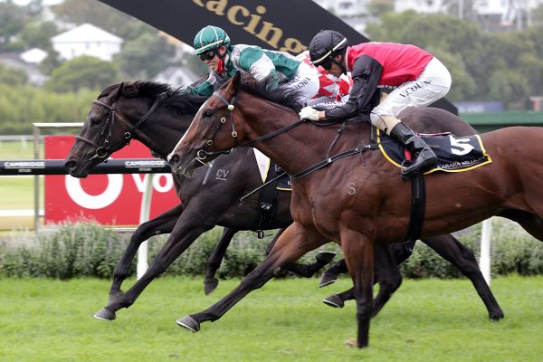 Bellatrix Black stuns rivals in Sunline Vase