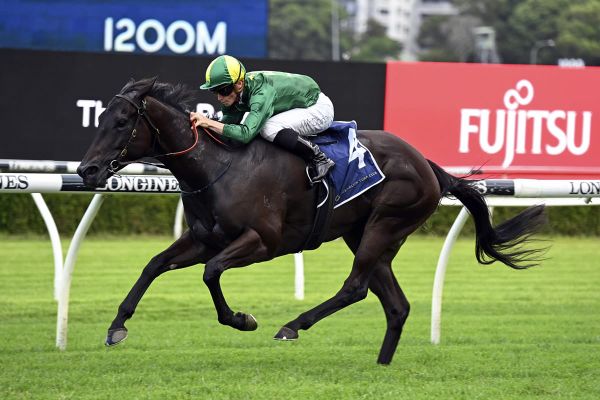 Syndication a winner for Little Avondale
