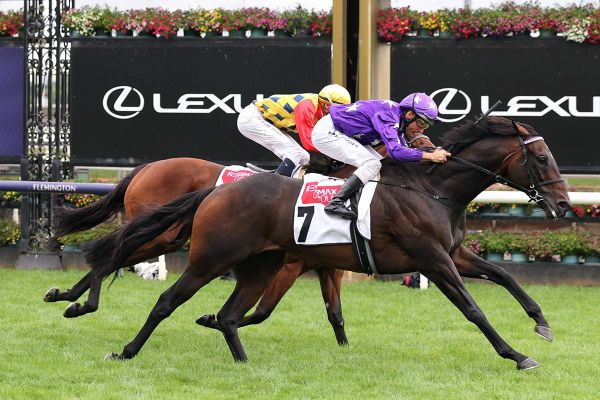 Bermadez fires down Flemington straight