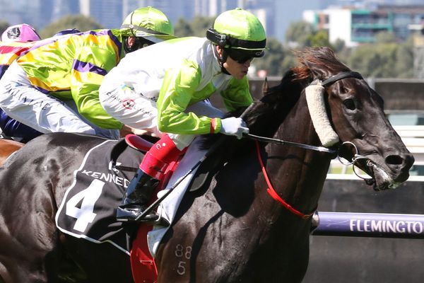 Blandford Lad back in the winner’s circle