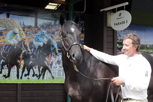 Savabeel at the peak of his powers in Karaka countdown