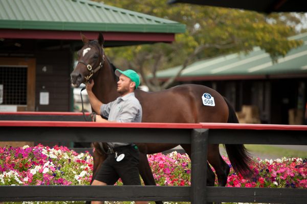 Electric Conclusion to Book 1