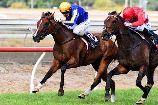 Australia in the offing for Eyesonlyonme