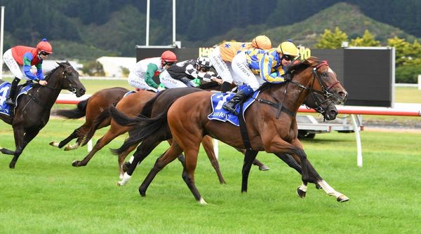 Gucci Belt doubles up at Trentham