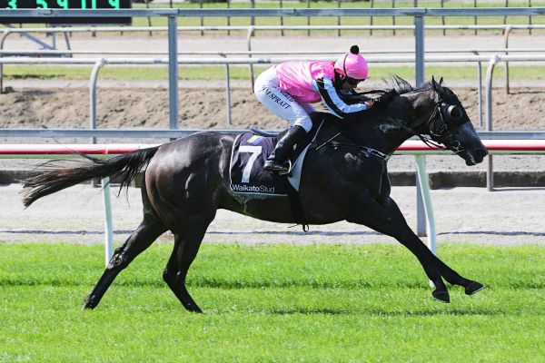 Halston breaks maidens at Matamata