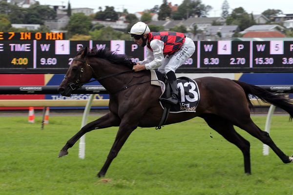 La Crique on song for Derby