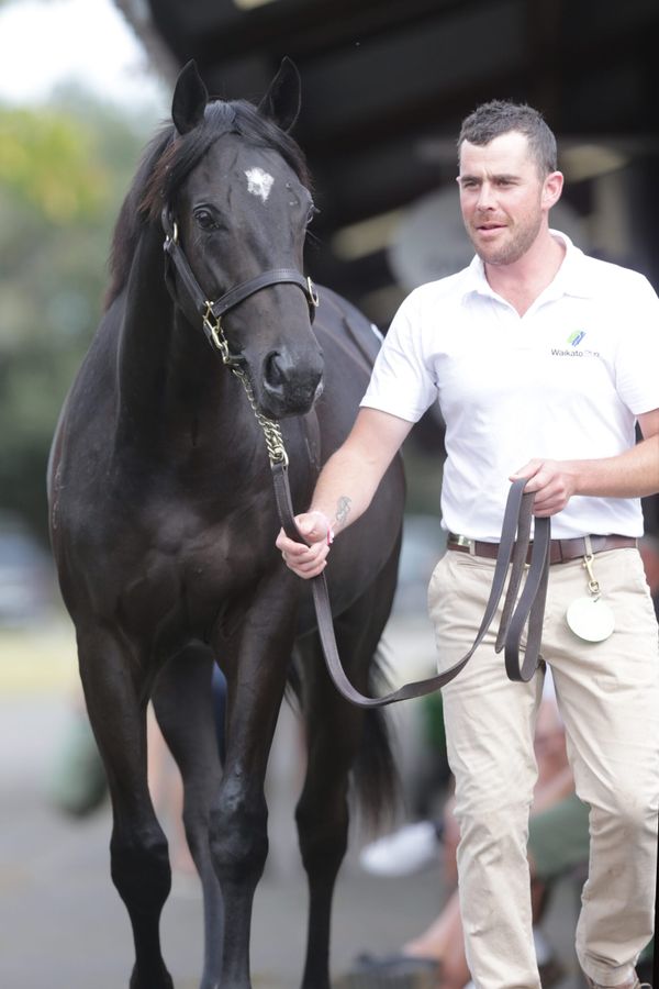 Mo’unga’s brother tops Day One at Karaka