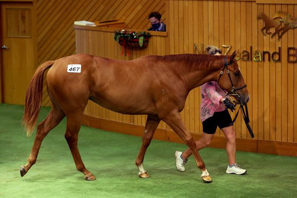 Busuttin and Young active at Karaka