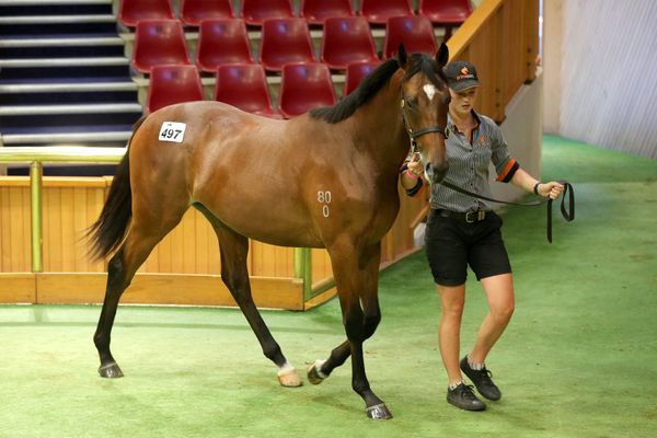 Ritchie renews Jennifer Eccles connection