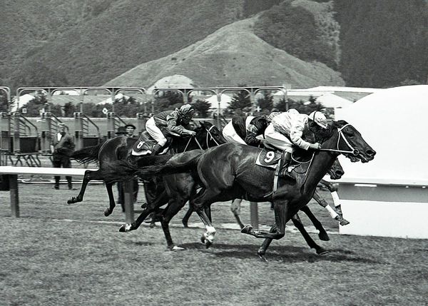 Link to Takanini lost with death of Ray Wallace