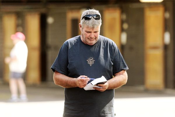 Pierro colt attracts plenty of attention late