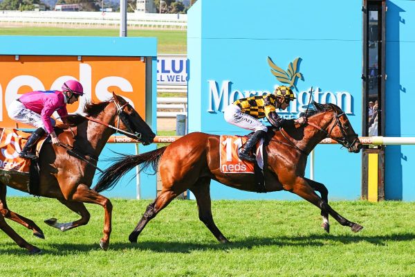 Gelding option proves winning move