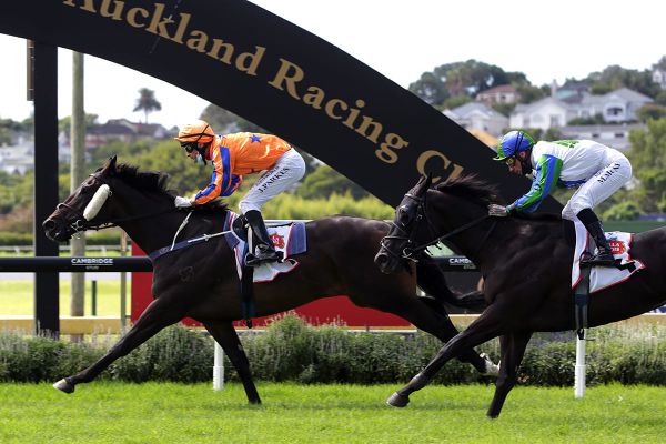 Richards claims quinella in Mufhasa Stakes