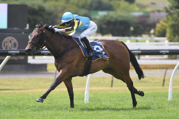 Per Incanto’s daughter a popular mare