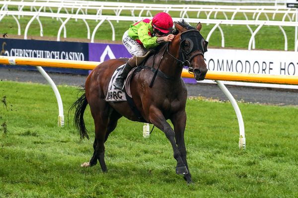 Pitman fillies out to enhance reputations at Wingatui