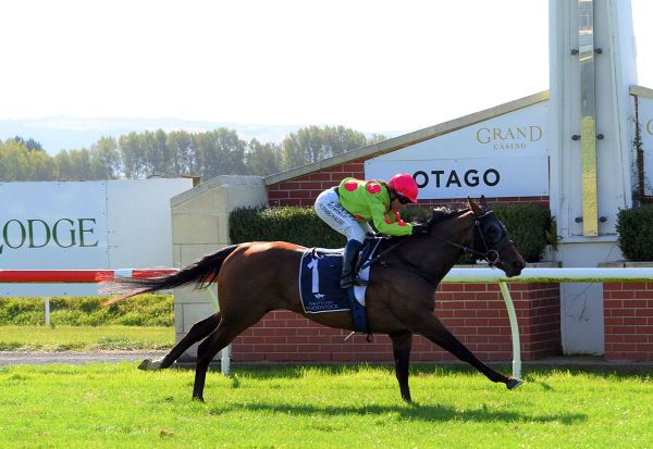 Family affinity to the fore with Reputabelle