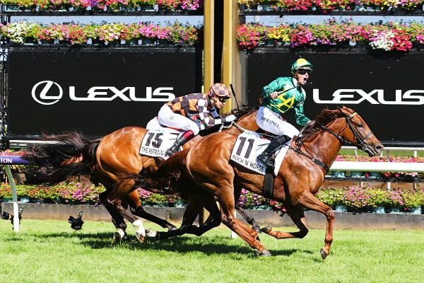 Roch ’N’ Horse to Sydney