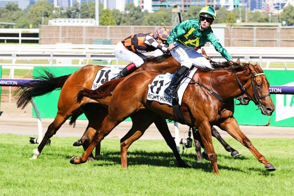 Little Avondale takes two shots at TJ Smith