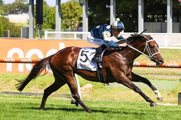 Nightmare draw for Sierra Sue