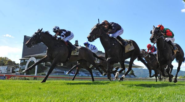 Sinarahma prevails in desperate finish to Cuddle Stakes