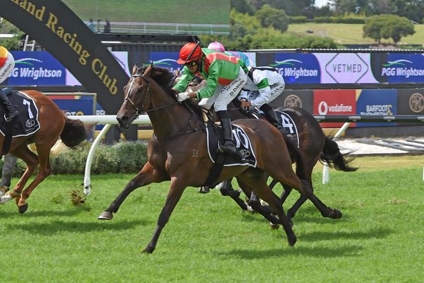 Staying future for Sid