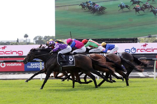 Swords Drawn on target for Auckland Cup bid