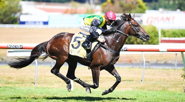 Quartet jet to Sydney as Baker-Forsman eye Australian riches
