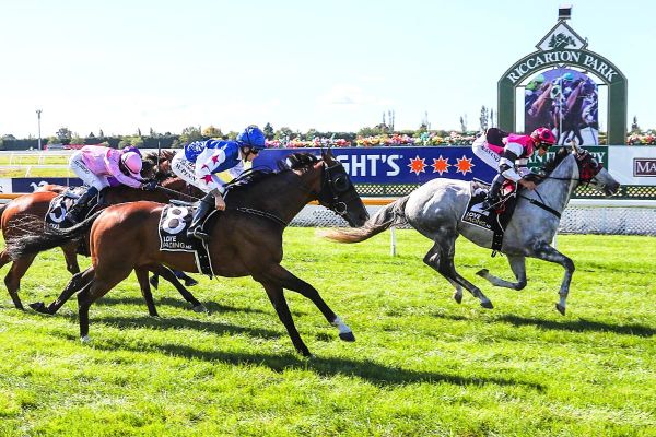 Satisfying return from injury for Tobilicious