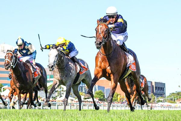Tofane primed for rich mile