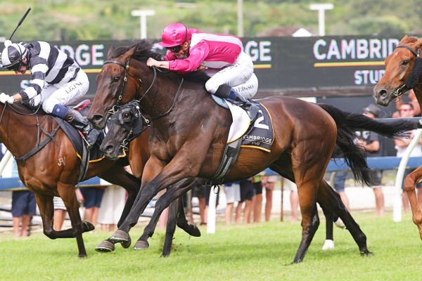 Trans Tasman targets for Baker-Forsman team