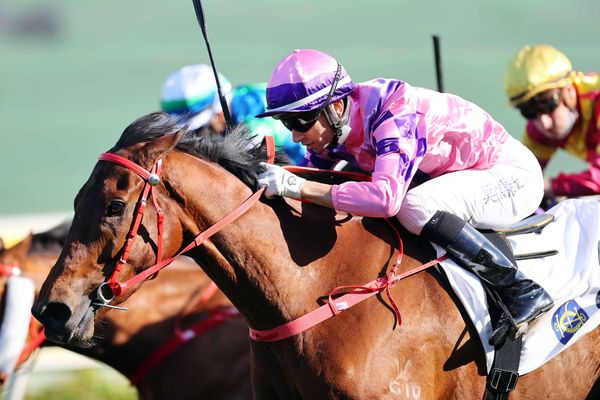 Alexis Badel teams with John Size as Running Glory seeks continued rise