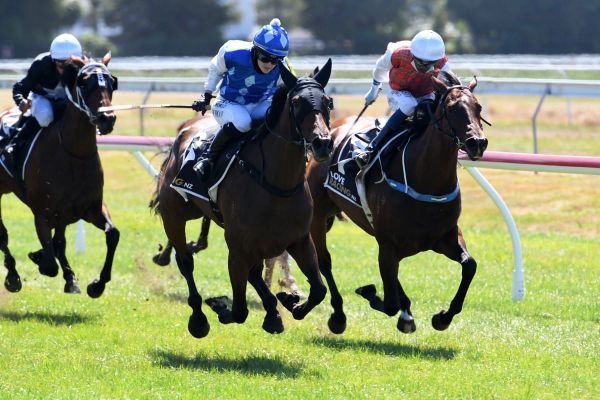 Manning fillies tackle Riccarton feature