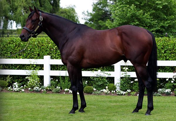 Cambridge Stud announce 2022 service fees