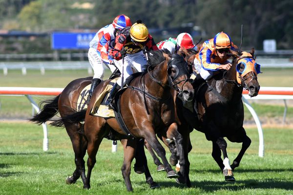 Barnmates in right form for black-type targets