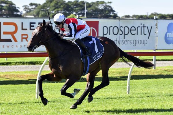 Hawkesbury targets for Kiwi trio